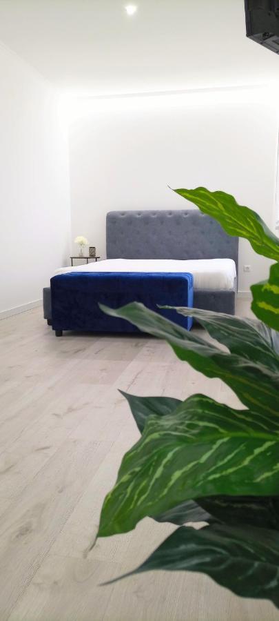 Casa Incrivel Refugio Lieva ,Piscina , Jacuzzi Exterior E Zona Kids Lejlighed Nelas Eksteriør billede